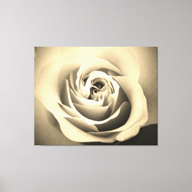 Sepia-Rose Leinwanddruck (Vorderseite)
