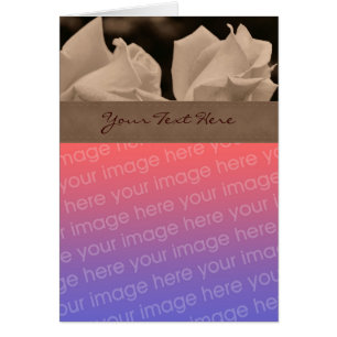 Sepia Rosenknospe Floral Foto Card