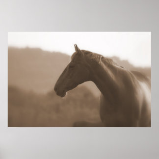 Sepia Silhouette Grande Poster de Base