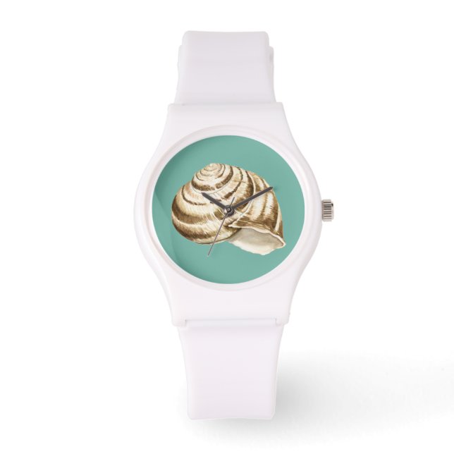 Sepia Stripte Muschel auf Aquamarin Armbanduhr (Vorderseite)
