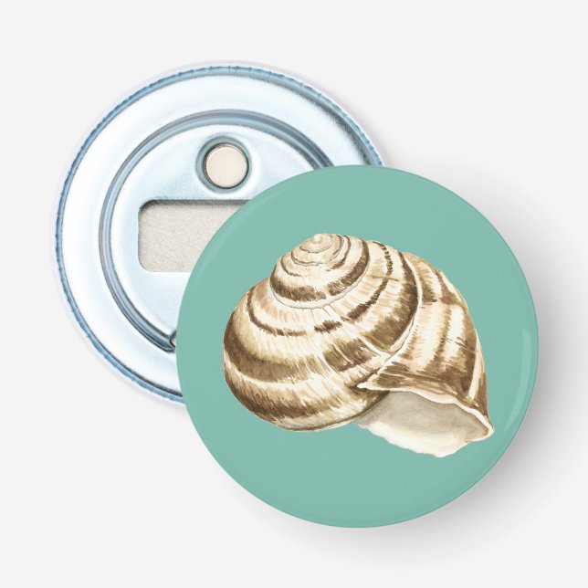 Sepia Stripte Muschel auf Aquamarin Flaschenöffner (Vorderseite)