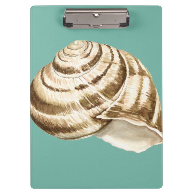 Sepia Stripte Muschel auf Aquamarin Klemmbrett (Vorderseite)