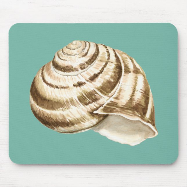 Sepia Stripte Muschel auf Aquamarin Mousepad (Vorne)