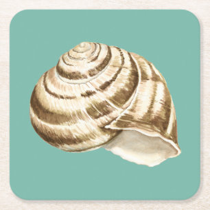 Sepia Stripte Muschel auf Aquamarin Rechteckiger Pappuntersetzer