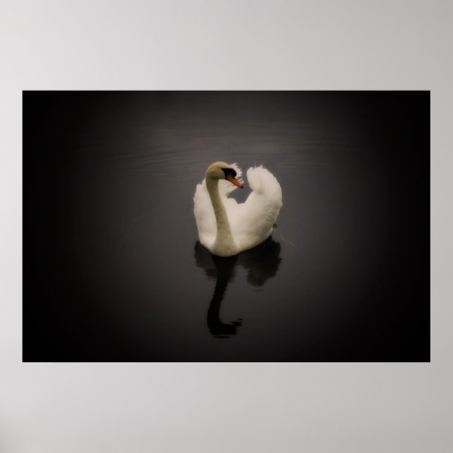 Sepia Swan Print Poster (Vorne)
