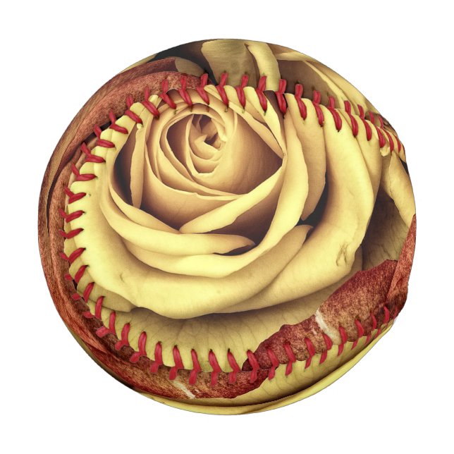 Sepia Tinted Rose Baseball (Vorderseite Links)