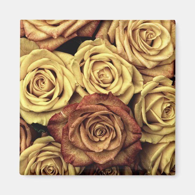 Sepia Tinted Rose Magnet (Vorne)