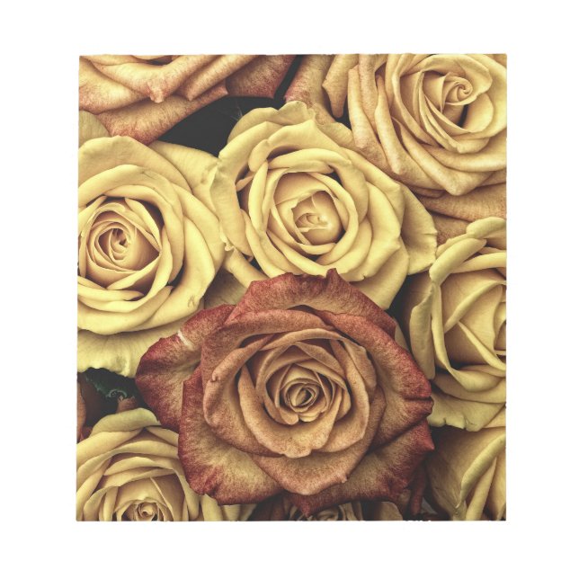 Sepia Tinted Rose Notizblock (Vorderseite)