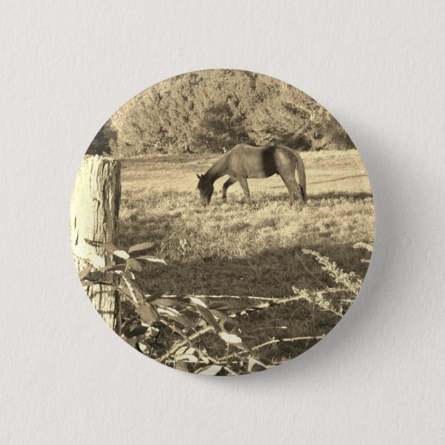 Sepia ton Brown Pferd und Zaun Button (Vorderseite)