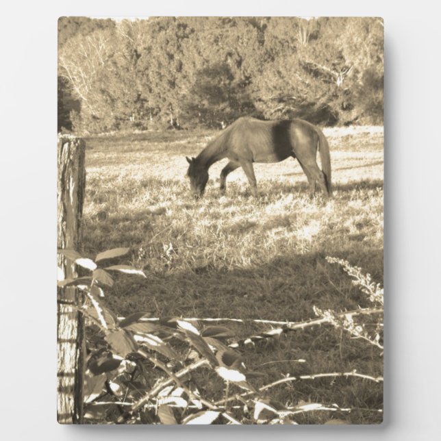 Sepia ton Brown Pferd und Zaun Fotoplatte (Vorderseite)