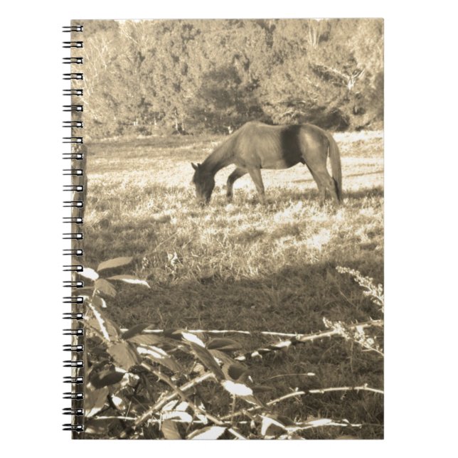 Sepia ton Brown Pferd und Zaun Notizblock (Vorderseite)