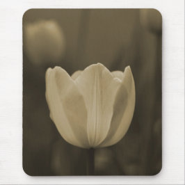 Sepia-Ton-Single-Tulpe-Blume mousepad Geschenk