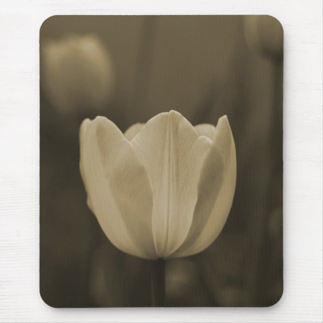 Sepia-Ton-Single-Tulpe-Blume mousepad Geschenk (Vorne)