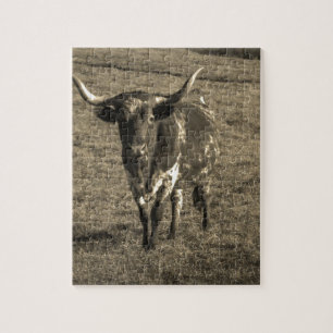 Sepia Tone Brown and White Longhorn Bull