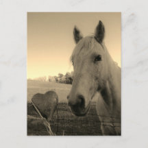 Sepia tone Brown Horse & Heart