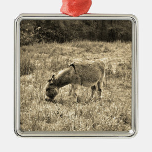 Sepia Tone Donkey in einem Feld. Silbernes Ornament