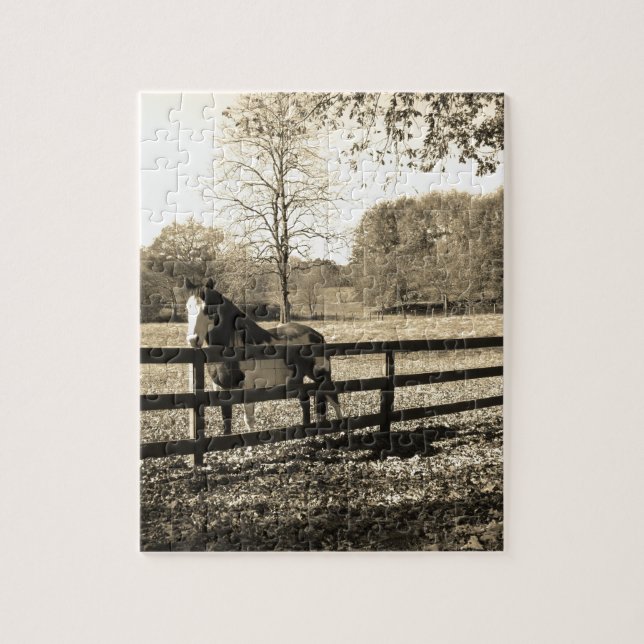 Sepia Tone Foto des Schwarz-Weiß-Pferdes (Vertikal)