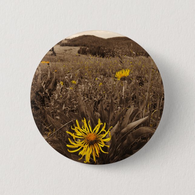 Sepia tone Yellow Wildblumen Button (Vorderseite)