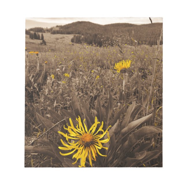 Sepia tone Yellow Wildblumen Notizblock (Vorderseite)