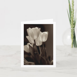 Sepia Tulip Note Card Karte