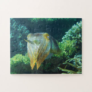 Sepia Up Close! Shimmering Squid at Coral Reef |