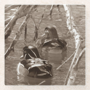 Sepia Wood Duck Pair Glasuntersetzer