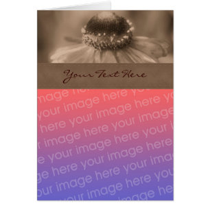 Sepia Zinnia Blume Foto-Karte