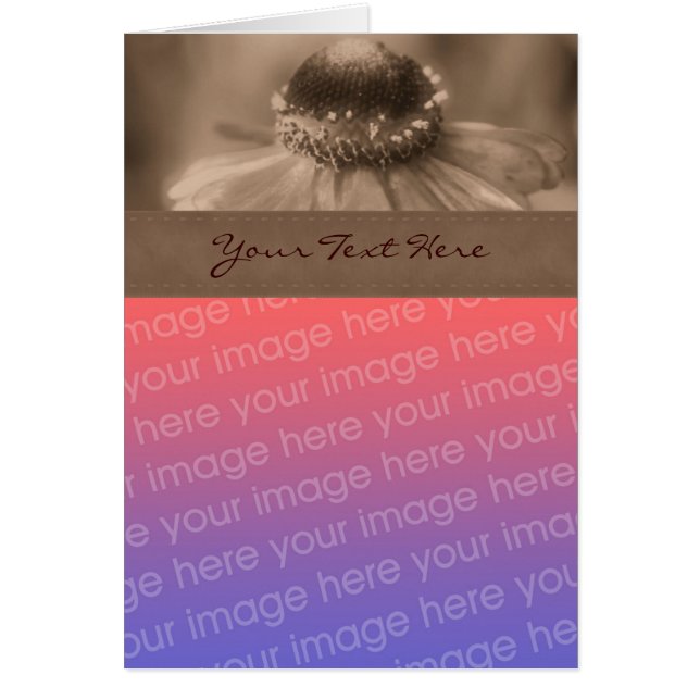 Sepia Zinnia Blume Foto-Karte (Vorne)