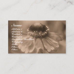 Sepia Zinnia Carte de visite de la photographie de
