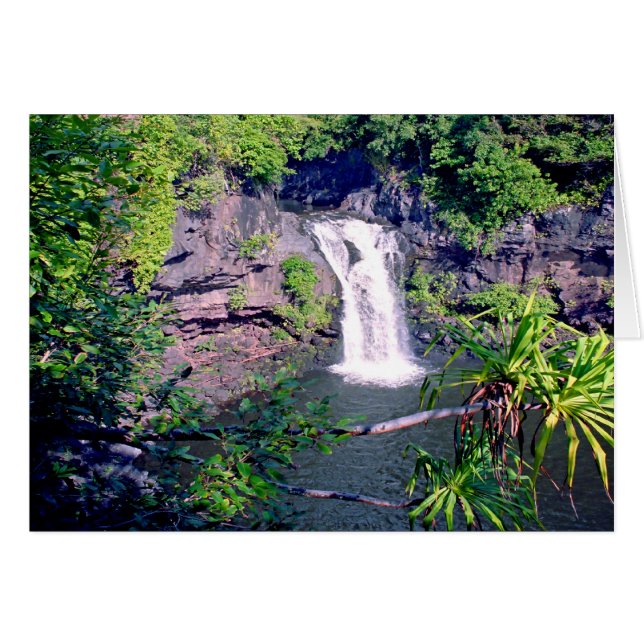 Sept bassins sacrés (Devant horizontal)