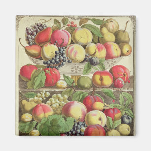 September ab "Zwölf Monate Obst" Magnet