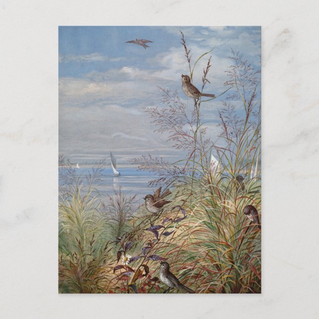 September | Fidelia Bridges Postkarte (Vorderseite)