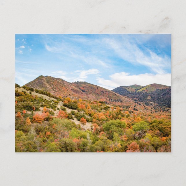 September in Payson Canyon Postkarte (Vorderseite)