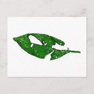 "September Leaf #1" Postkarte für Landstraßen