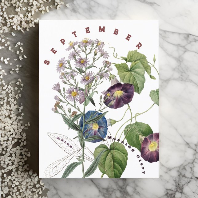 September Monat Blume Aster & Morning Glory | Postkarte (Von Creator hochgeladen)