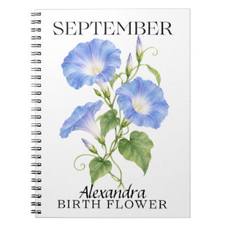 September Morning Glory Botanische Geburtsblume Notizblock
