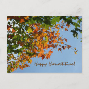 September Postkarte