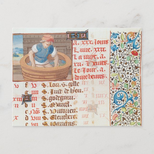 September: Trampling Trauben Postkarte (Vorderseite)