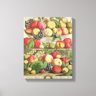 September, von 'zwölf Monaten Früchten Leinwanddruck