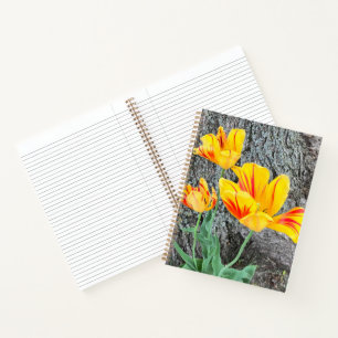 Séquence de trois tulipes jaunes / Journal