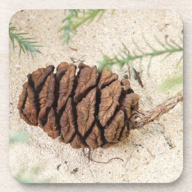Sequoia Cone Cork Untersetzer (Vorderseite)