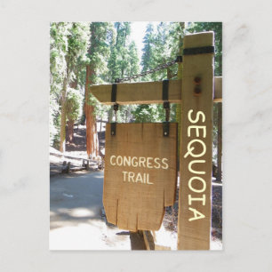 Sequoia/Congress Trail Postcard! Postkarte