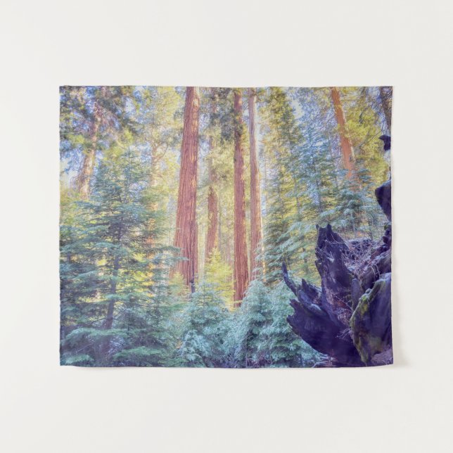 Sequoia Forest Wandteppich (Vorderseite (Horizontal))