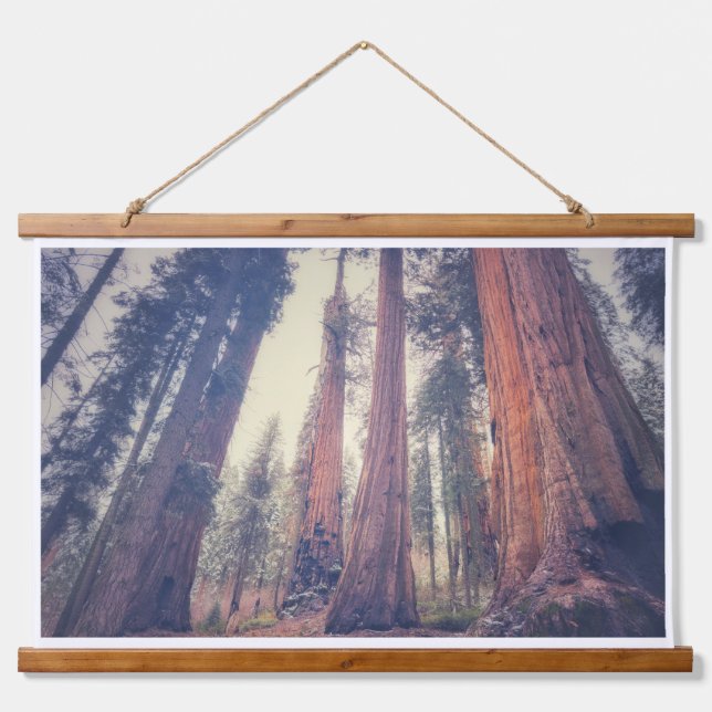 Sequoia Forest Wandteppich Mit Holzrahmen (Vorne)