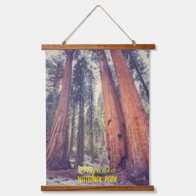 Sequoia Forest Wandteppich Mit Holzrahmen (Vorderseite)