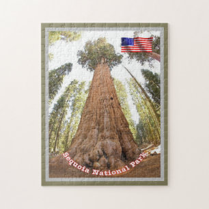 Sequoia - General Sherman Tree - Vereinigte Staate