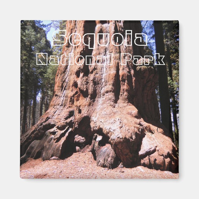 Sequoia/Kings Canyon National Park Magnet (Devant)