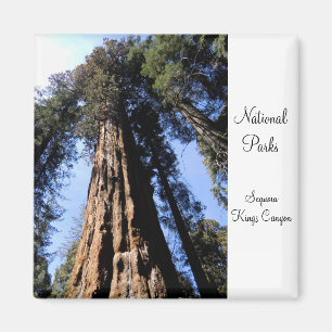 Sequoia/Kings Canyon National Park Magnet