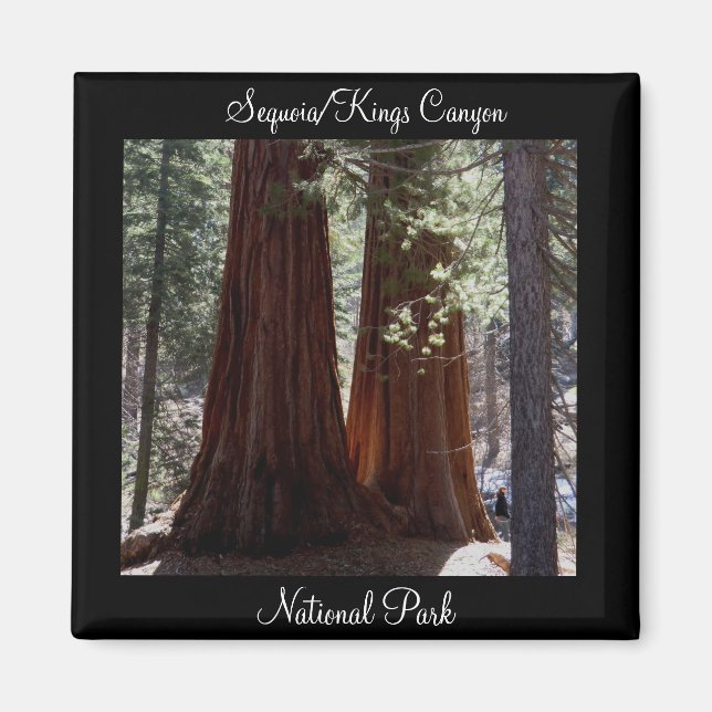 Sequoia/Kings Canyon National Park Magnet (Devant)