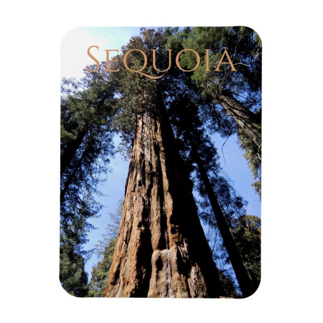 Sequoia/Kings Canyon Nationalpark Magnet (Vertikal)
